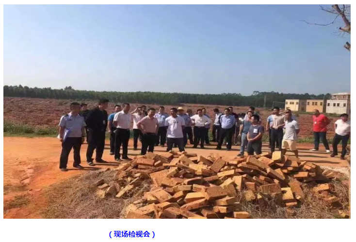 遂溪乐民镇人口_湛江遂溪牛圩镇(2)