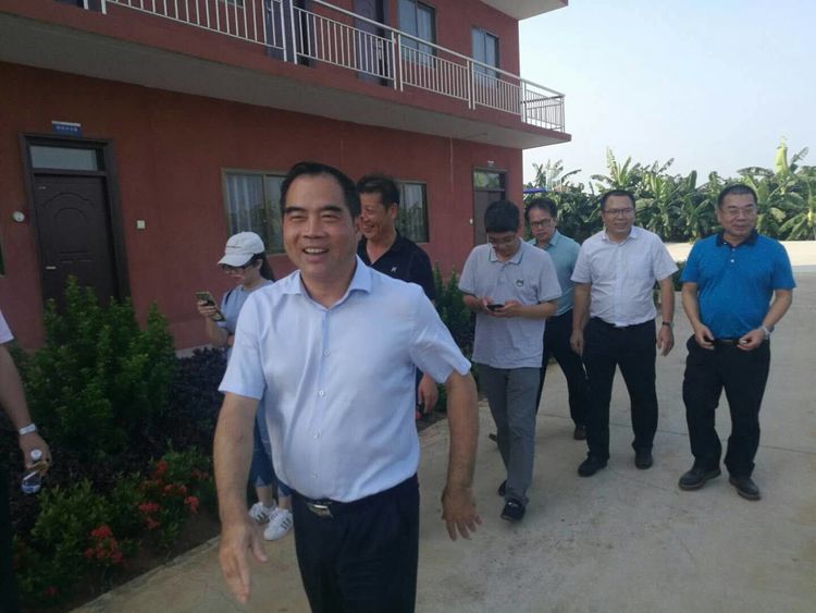 县委书记余庆创到杨柑镇调研扫黑除恶和农村人居环境