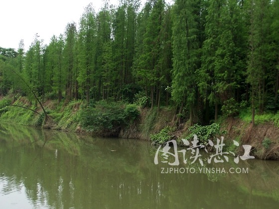 我的世界林地府邸地图_人均有林地面积(2)