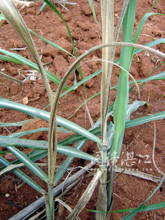 201106220848371457.jpg