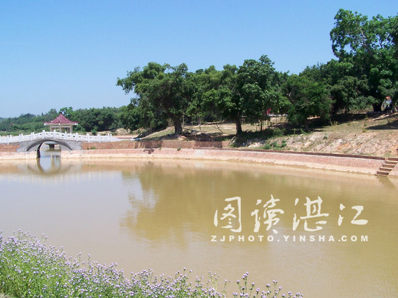 江洪镇东边角千年古村焕新颜-遂溪县人民政府网