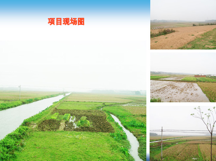 杨柑镇人口_遂溪县杨柑镇建国小学