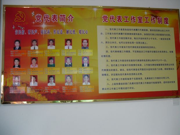 关于建立党代表联系党员群众制度的实施意见二稿