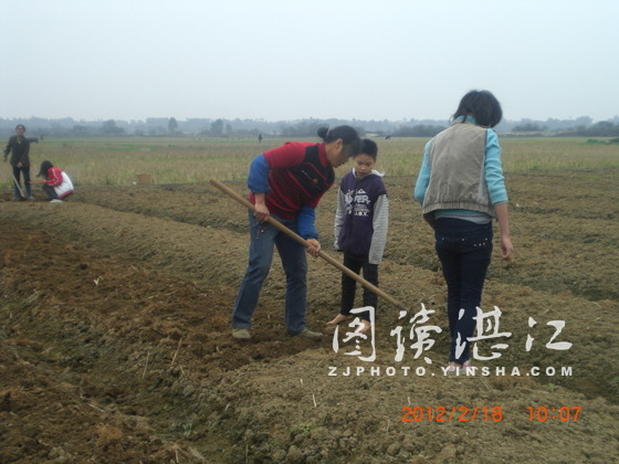 杨柑镇人口_遂溪县杨柑镇建国小学