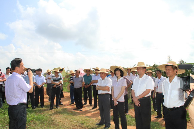 杨柑镇人口_遂溪县杨柑镇建国小学