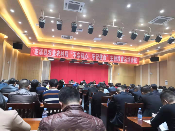 已编辑图片
