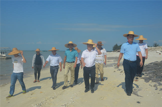 （黄志坚副县长到红莳棚海堤视察旧庙海堤维护修复工程）.jpg
