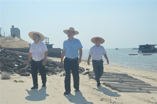 （黄志坚副县长指出要确保在台风多发期前建好南洪段海堤）.jpg