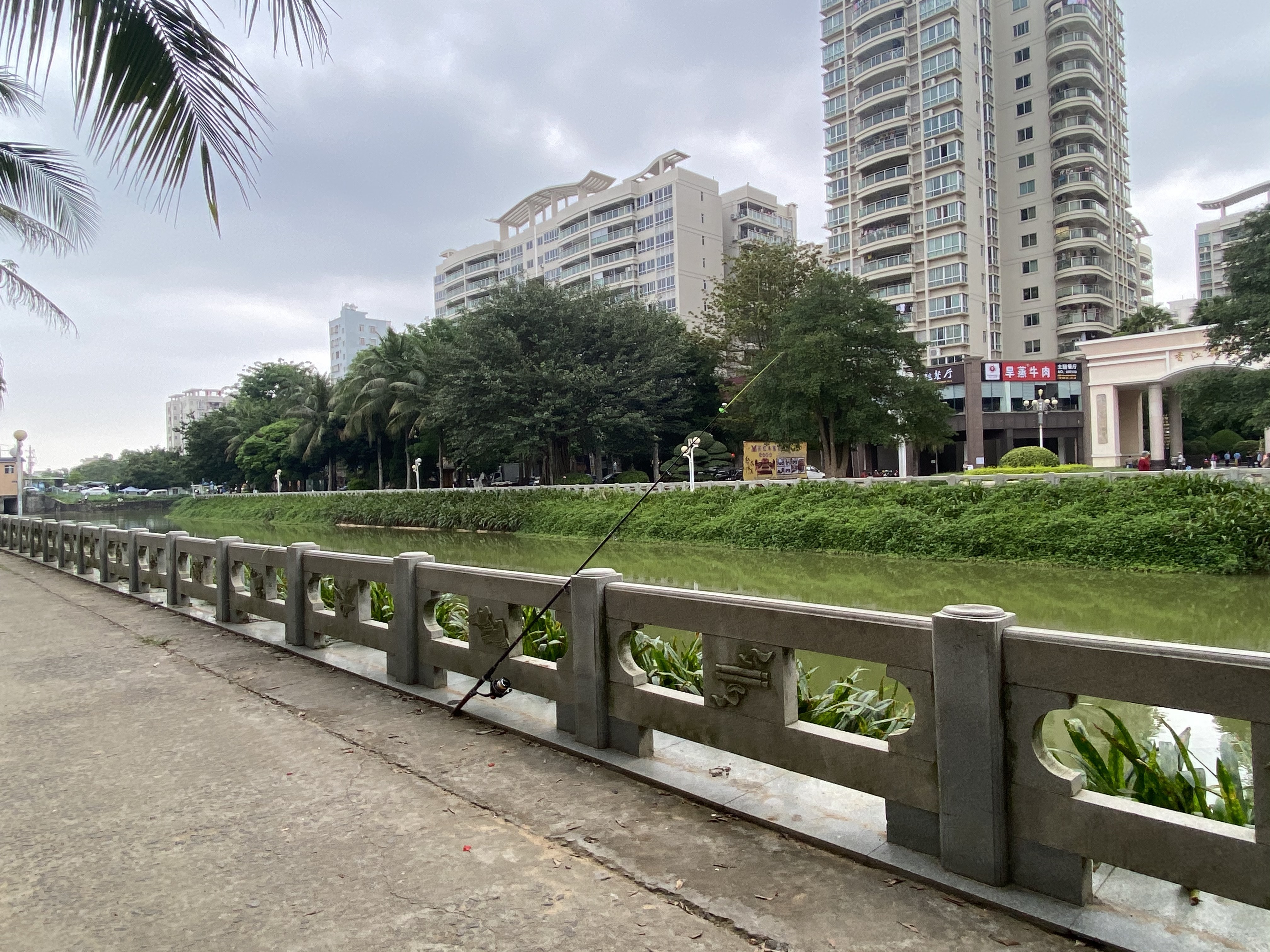 钓鱼现象1.jpg