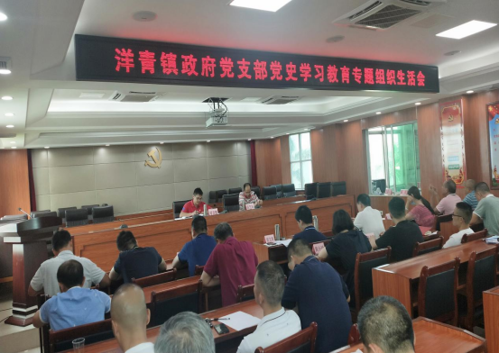 20210819（简报）洋青镇政府党支部召开党史学习教育专题组织生活会481.png