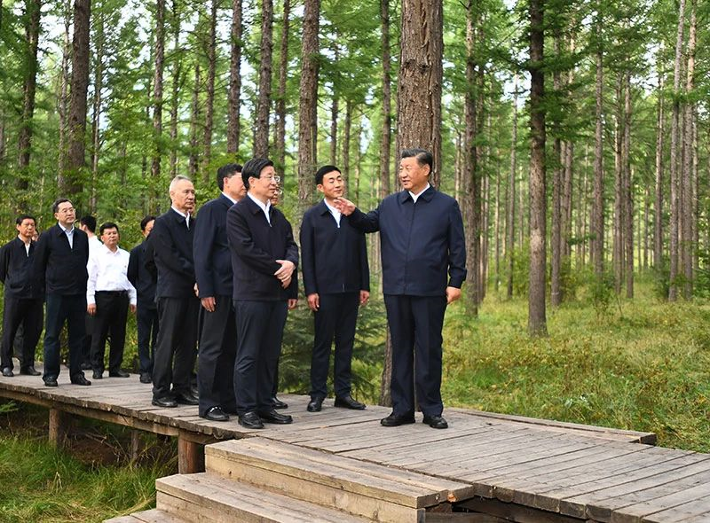 自动转存图片