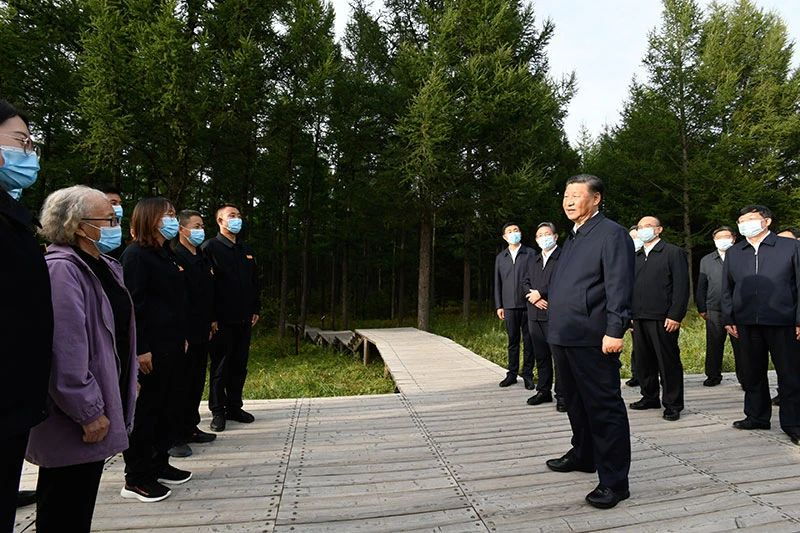自动转存图片