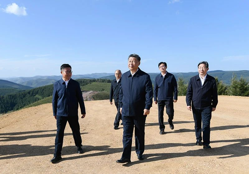 自动转存图片