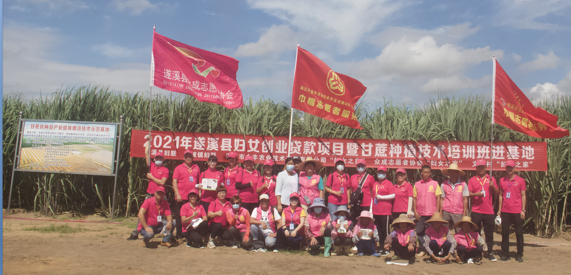 图片 2(1).png