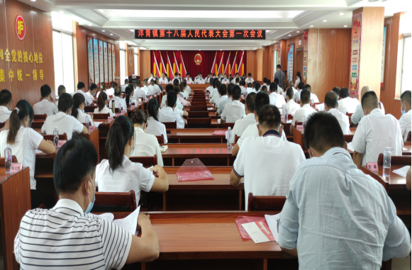 洋青镇第十八届人民代表大会第一次会议胜利召开（报道200.png