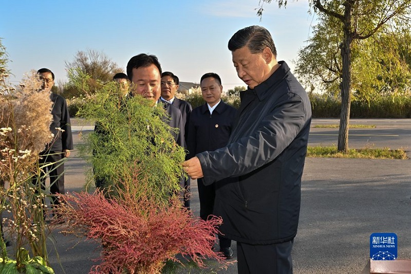 微信图片_20211025165107.jpg
