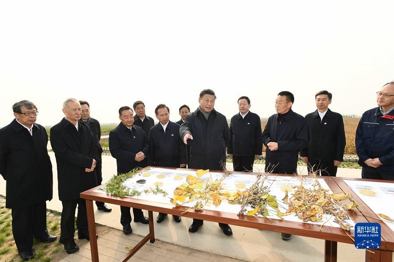 微信图片_20211025165125.jpg