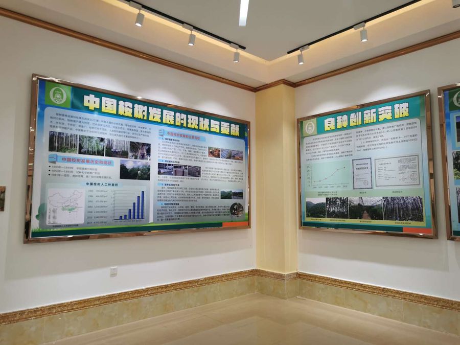 桉树科普馆3.jpg