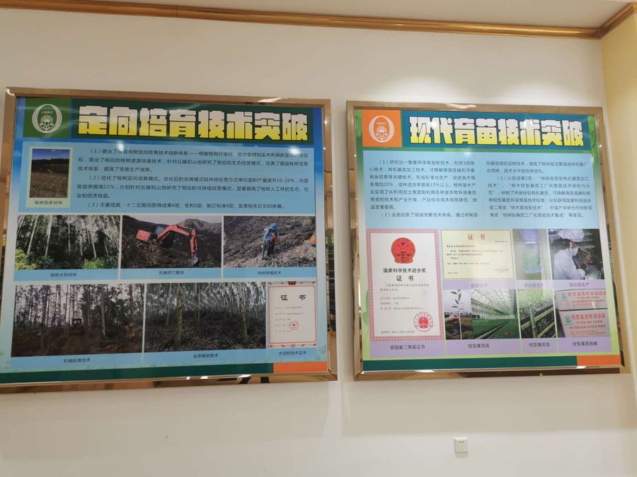桉树科普馆4.jpg