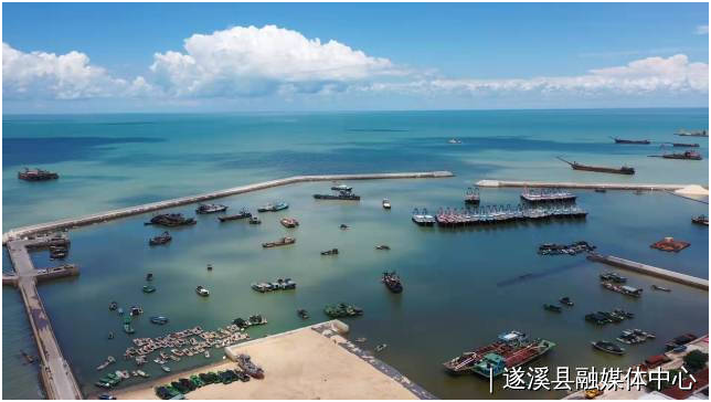 微信图片_20211230111631.png