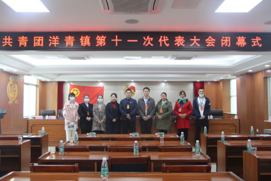 共青团洋青镇第十一次代表大会胜利召开787.png