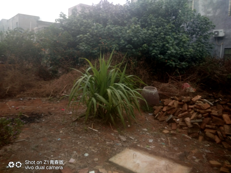 图片2_副本.png