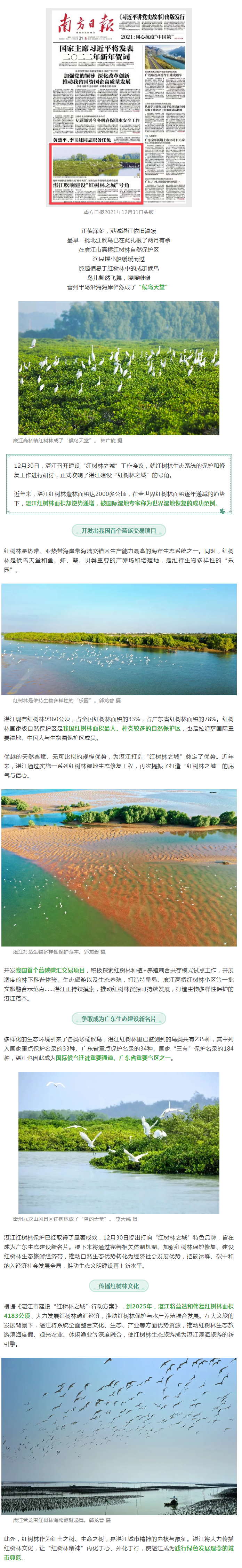 世界湿地恢复成功范例&hellip;&hellip;南方日报头版重磅聚焦湛江！.png