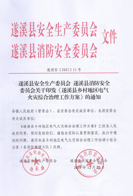 遂溪县安全生产委员会遂溪县消防安全委员会关于印发《遂溪县乡村地区电气火灾综合治理工作方案》的通知_页面_01.png