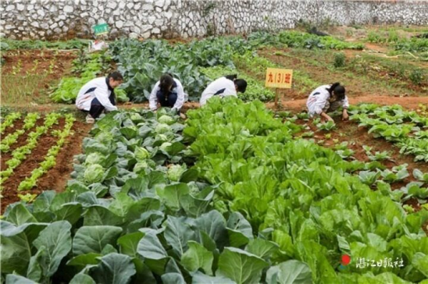 微信图片_20220114165222.jpg