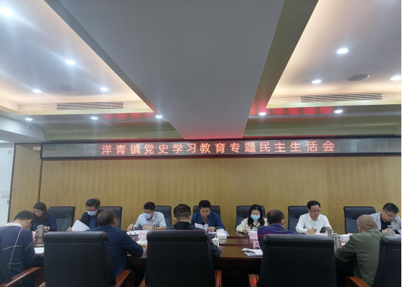 洋青镇召开党史学习教育专题民主生活会简报1.27213.png