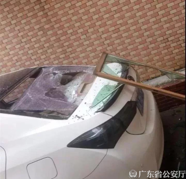 已编辑图片