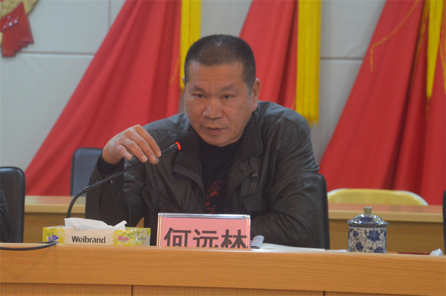 （镇党委委员何远林同志部署乡村振兴战略实绩考核工作）.JPG