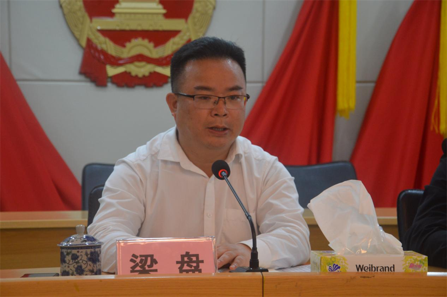 （县交通运输局局长、镇党委书记梁盘同志作强调讲话）.png