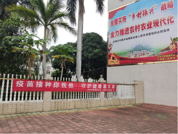 洋青镇：疫苗接种再发力 乡村振兴两不误471.png