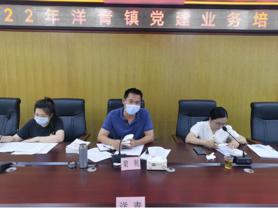 洋青镇举办2022年度党建业务培训班285.png