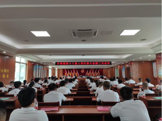 5.25洋青镇召开第十八届人民代表大会二次会议157.png