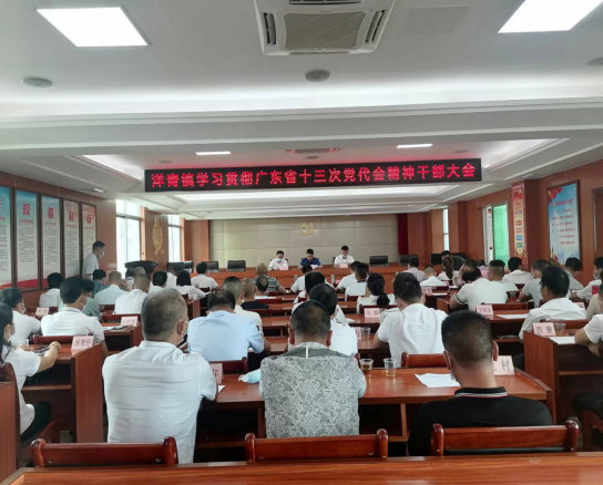 洋青镇学习贯彻广东省十三次党代会精神198.png