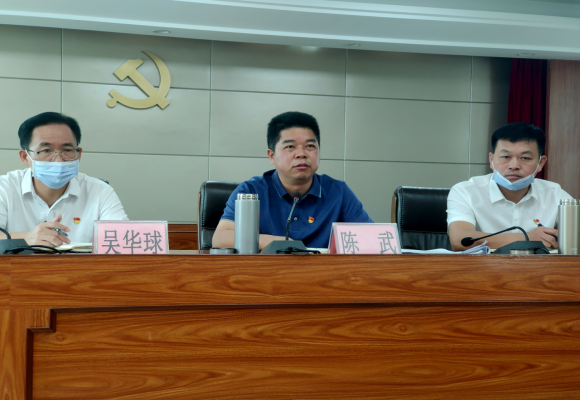 洋青镇学习贯彻广东省十三次党代会精神465.png
