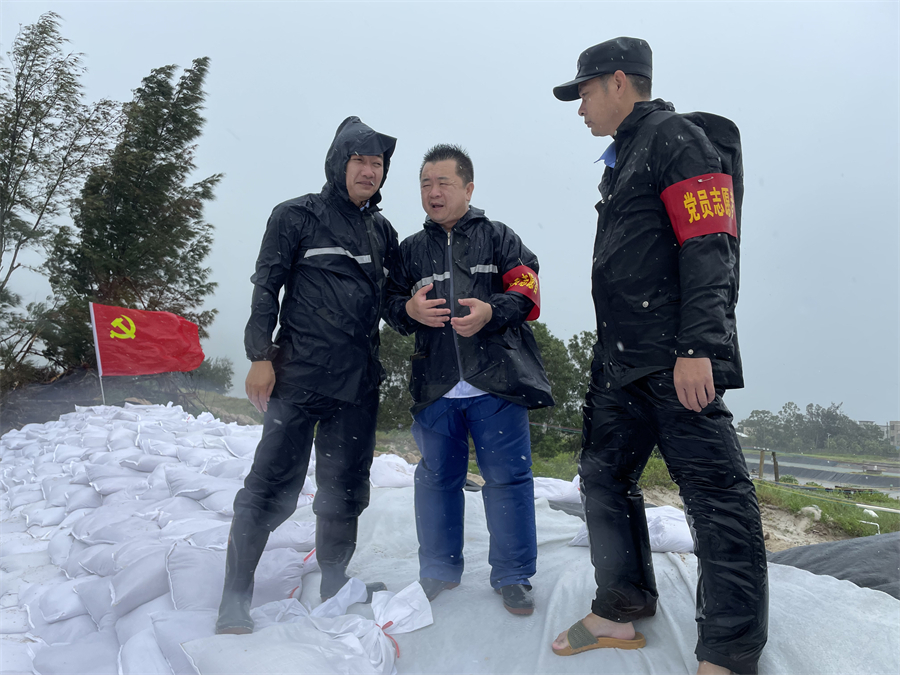 （刘桂兴同志到场指导海堤加固工作）.jpg