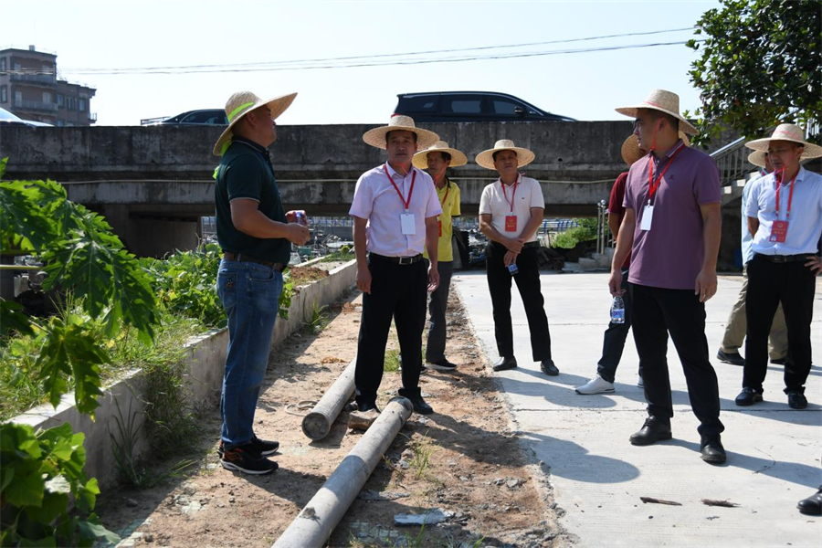 （人大代表们听取新建村支部书记汇报新建村沿岸道路硬底化项目建设情况）.jpg