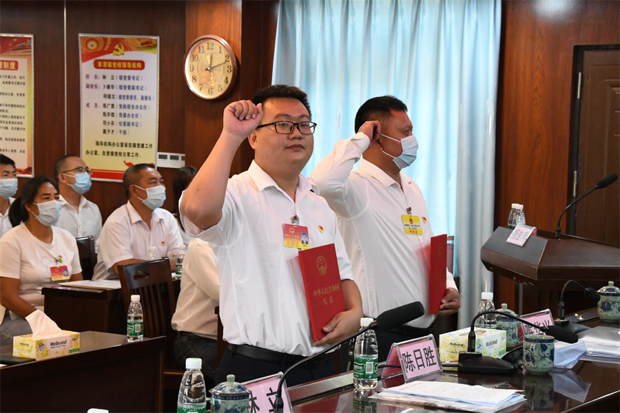 （新当选副镇长进行宪法宣誓）.JPG