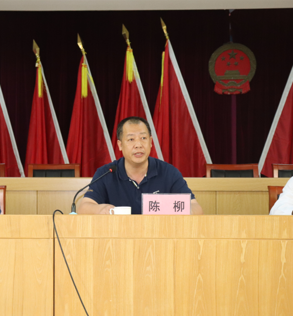 陈柳通报建新镇乡村振兴工作.jpg