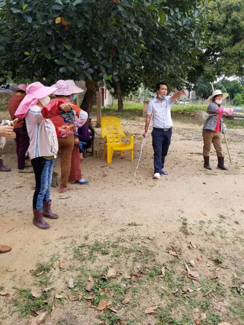美丽乡村追梦人—记杨柑镇西基村党支部书记游建明_遂溪县人民政府