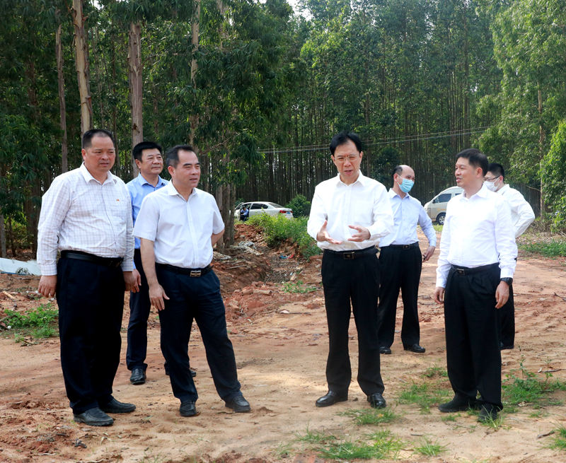 县委书记余庆创,乐民镇党委书记谭彤煜,乐民镇党委副书记,镇长林立等