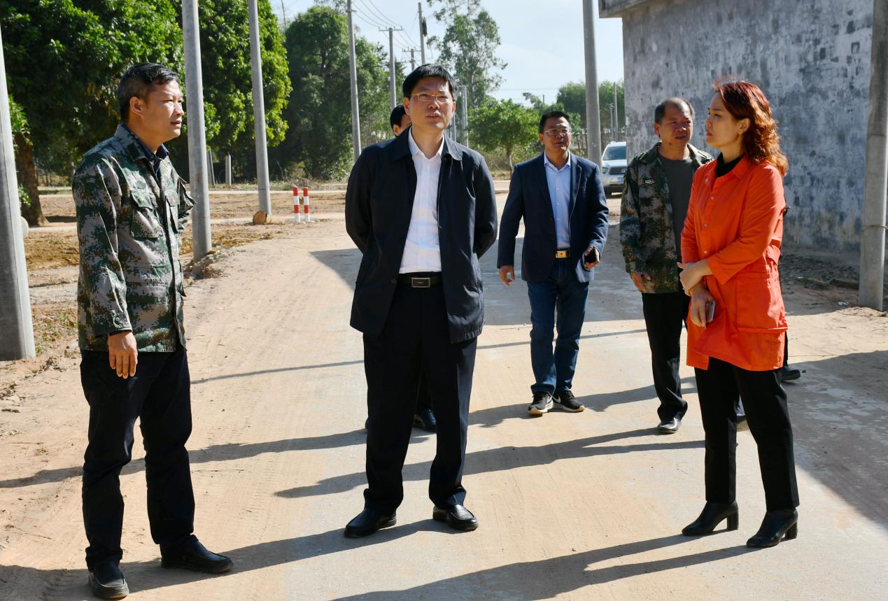 陈政到江洪镇调研乡村振兴工作