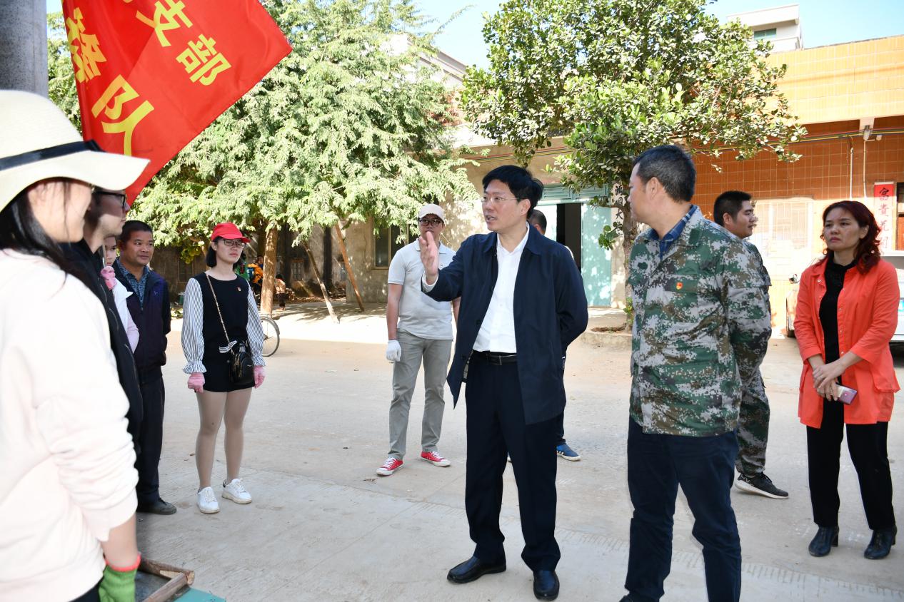 陈政到江洪镇调研乡村振兴工作