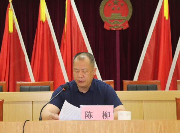 建新镇党委书记陈柳讲话.JPG