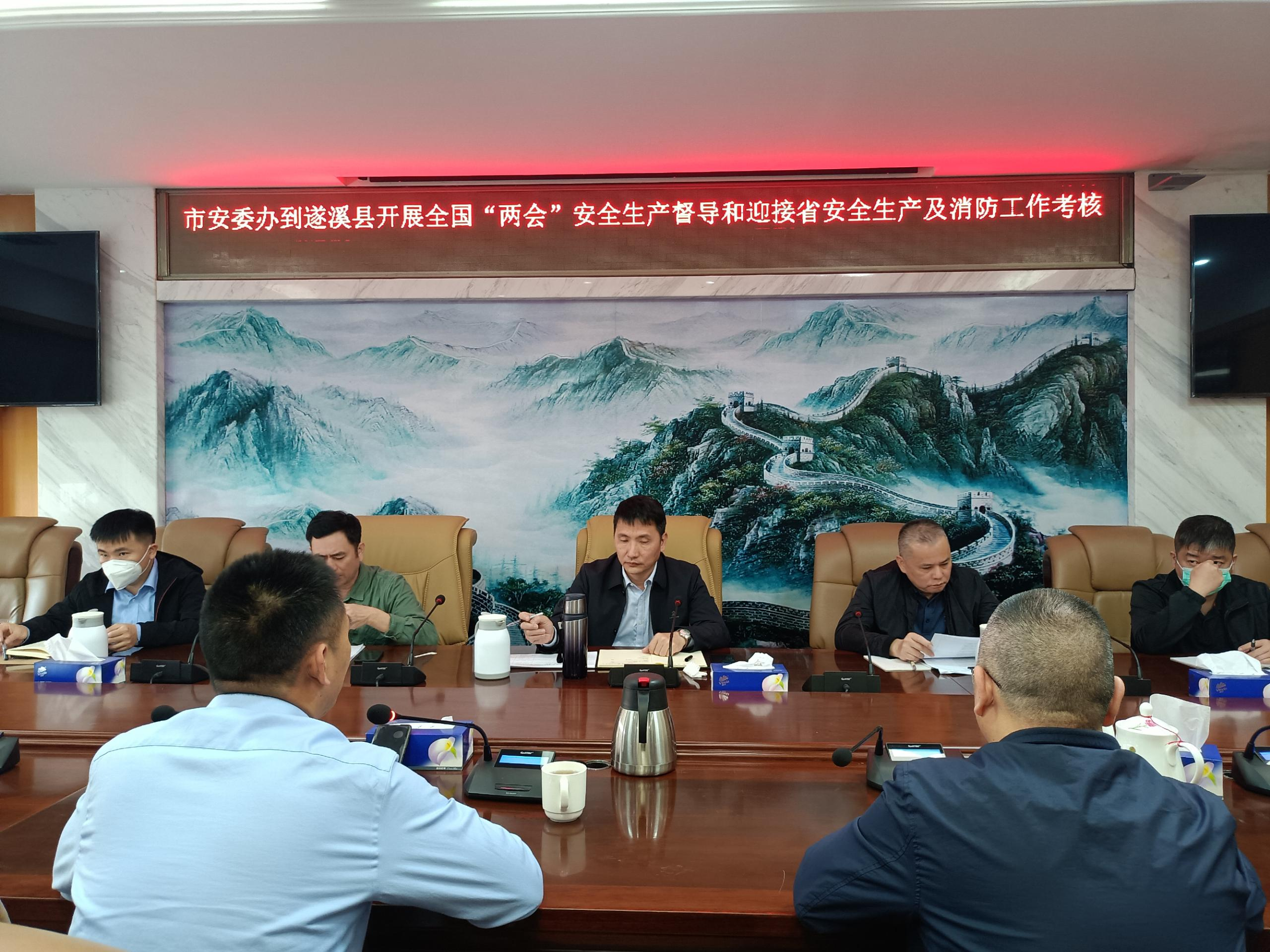 市安委办督导组到遂溪县开展全国“两会”期间安全生产重大隐患专项整治指导和迎接省1.png
