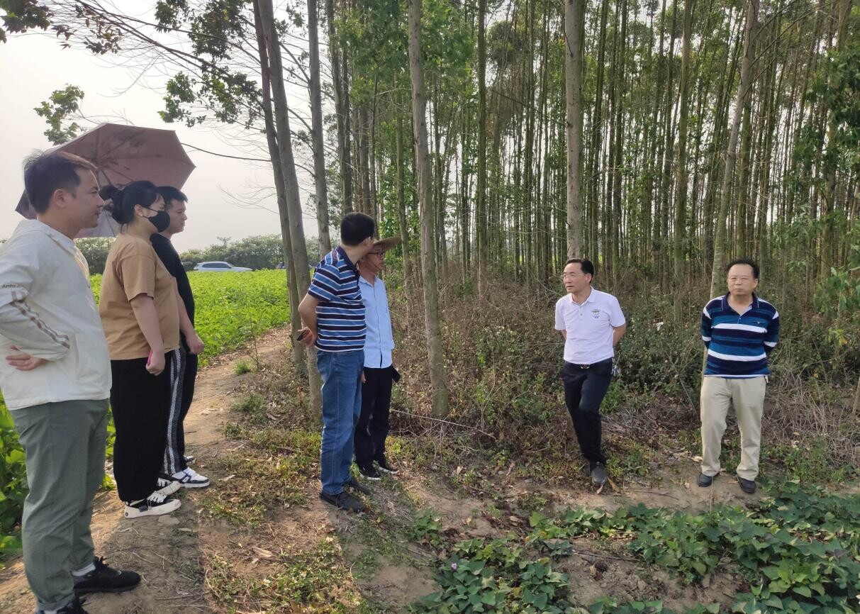 洋青镇人大：田间地头办实事，春耕生产农户忙