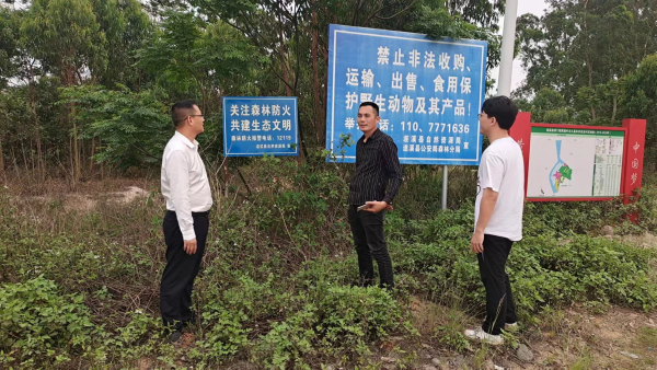 图片3.png